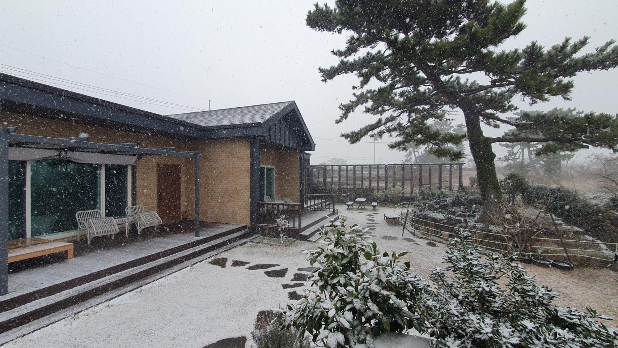 Wind Jeju Cafe & Pension Seogwipo Esterno foto