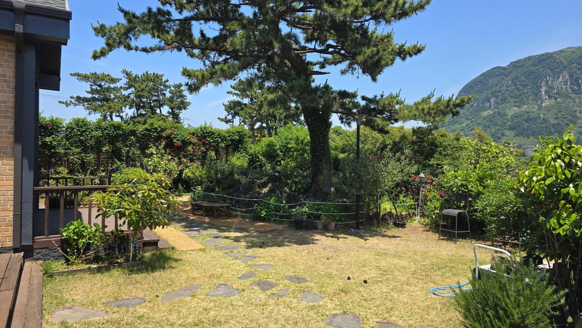 Wind Jeju Cafe & Pension Seogwipo Esterno foto