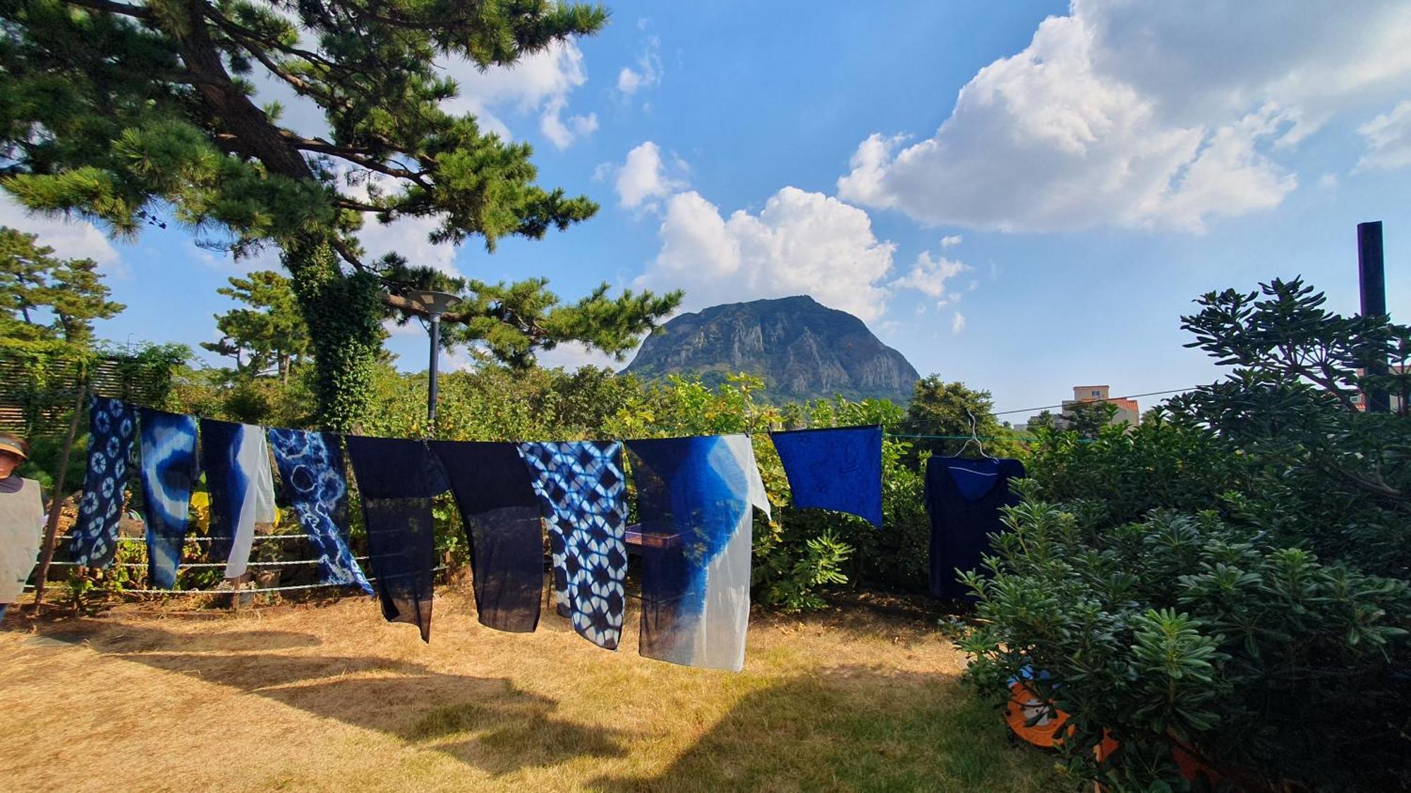 Wind Jeju Cafe & Pension Seogwipo Esterno foto