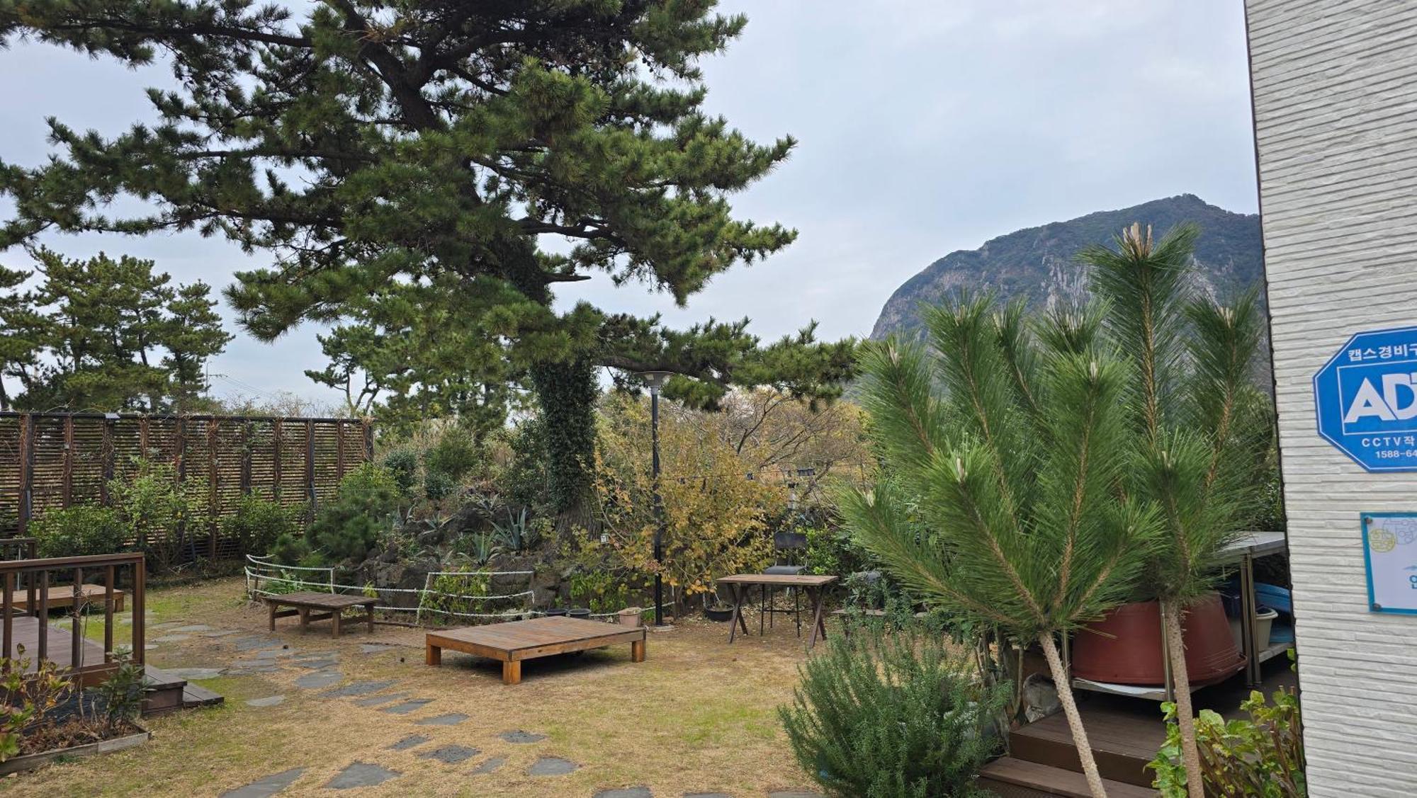 Wind Jeju Cafe & Pension Seogwipo Esterno foto