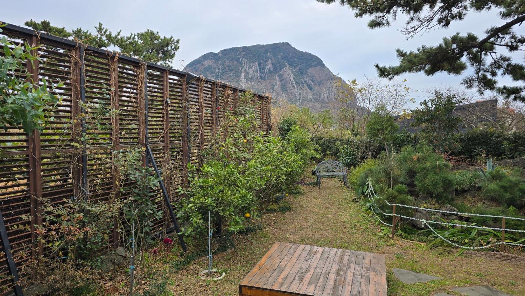 Wind Jeju Cafe & Pension Seogwipo Esterno foto